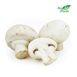 PIECZARKI BIAŁE ŚWIEŻE BIO (POLSKA) (około 0,25 kg)